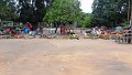 AMO (235)